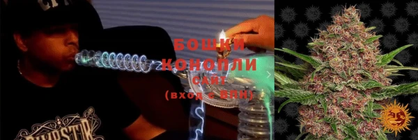 PSILOCYBIN Козельск