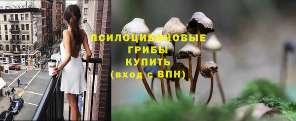 прущие крисы Коряжма