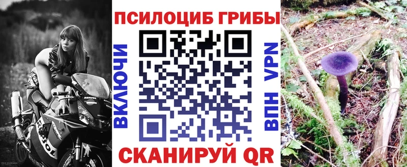 Купить закладки  Усолье  Псилоцибиновые грибы Cubensis 